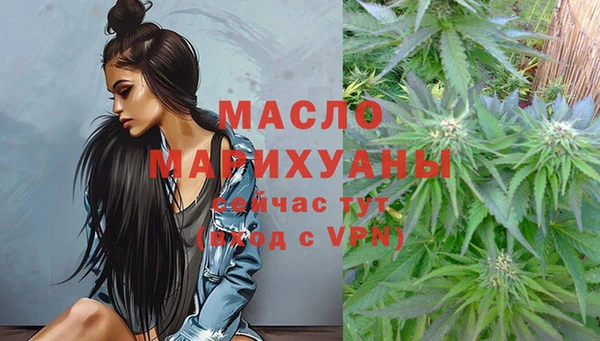 гидра Бородино