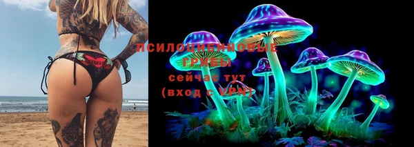 стафф Бронницы
