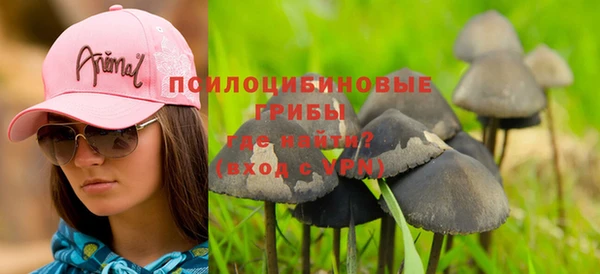гидра Бородино