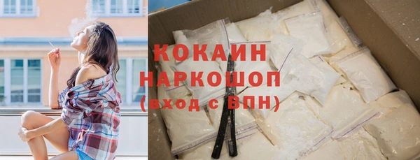 гидра Бородино
