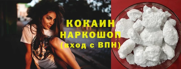 гидра Бородино