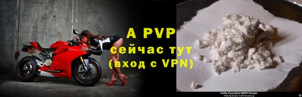 гидра Бородино