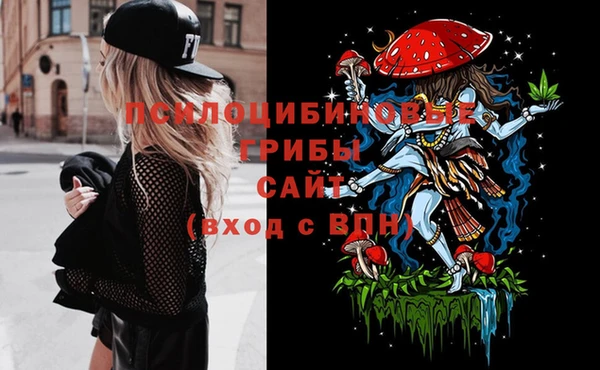 стафф Бронницы