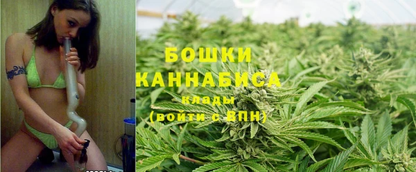 гидра Бородино