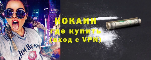 гидра Бородино