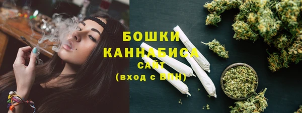 гидра Бородино