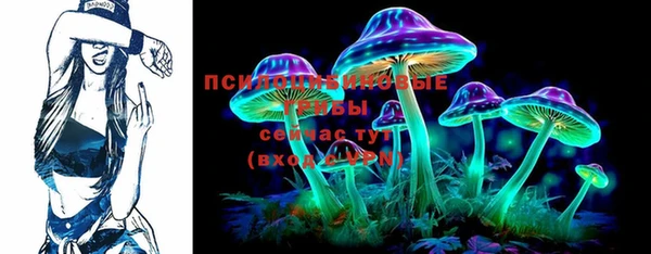 гидра Бородино