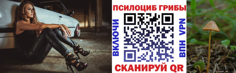 Галлюциногенные грибы Cubensis  Рубцовск 